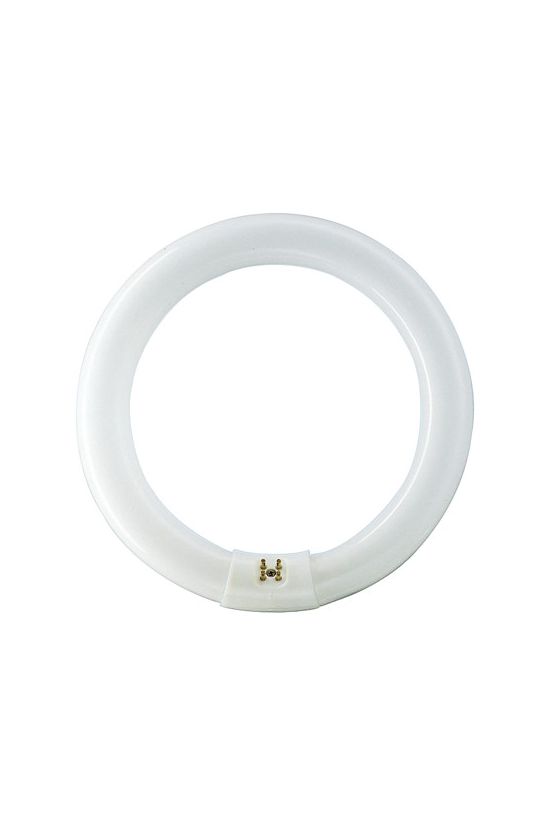 Fénycső általános-hez T9 G10q 22W 1300lm 840 13000h fehér B-en.o. TL-E 22W/840 1CT/12 Philips - 928026284070