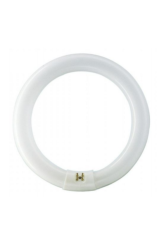Fénycső általános-hez T9 G10q 32W 2300lm 865 13000h fehér A-en.o. TL-E 32W/865 1CT/12 Philips - 928026386570