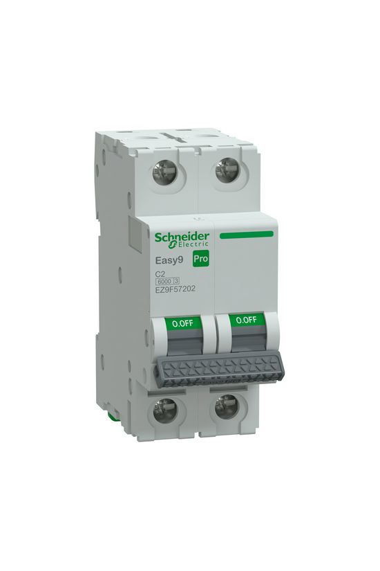 Kismegszakító 2A 2P C-jelleg 415V AC 6kA/60898 Easy9 Pro Schneider - EZ9F57202