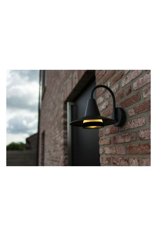 LUTEC 5213901012 SWAN kültéri fali 1*E27 fekete lefelé IP54