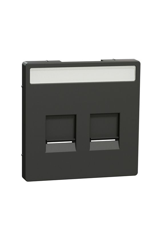 Merten D-Life fedlap 2xRJ45 adatcsatlakozóhoz műanyag antracit címketartóval Schneider - MTN4564-6034