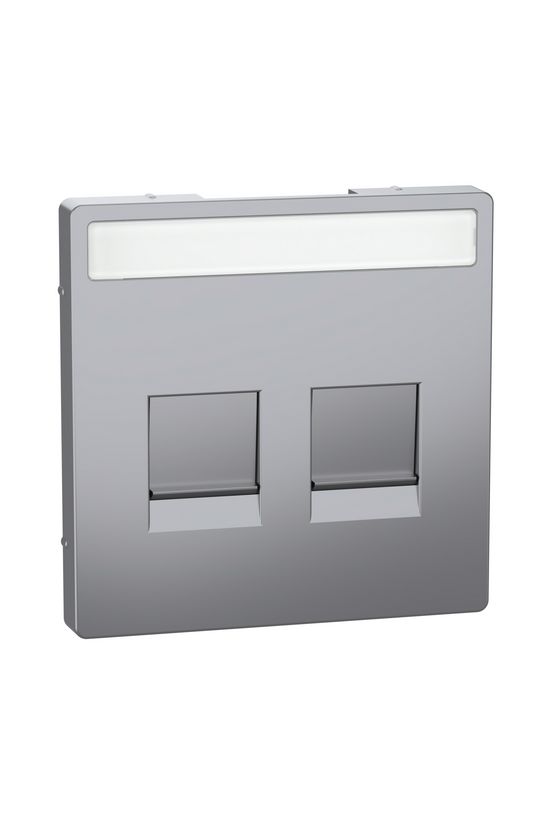 Merten D-Life fedlap 2xRJ45 adatcsatlakozóhoz műanyag nemesacél címketartóval Schneider - MTN4564-6036