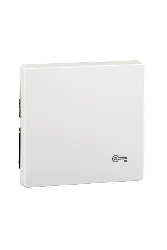 Merten-SM billentyű kulcs-jellel aktívfehér fehér kulcs/ajtó-jel IP20 műanyag fényes Schneider - MTN3303-0325