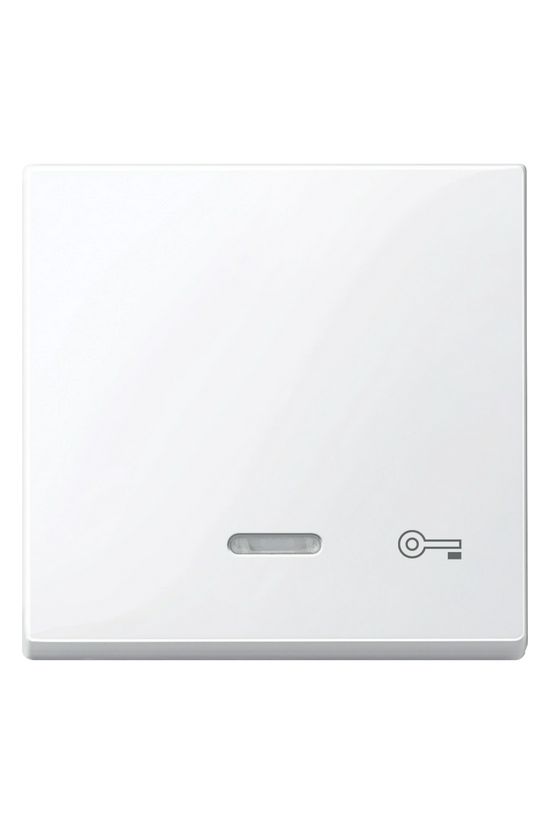 Merten-SM billentyű kulcs-jellel antibakteriális aktívfehér fehér kulcs/ajtó-jel IP20 Schneider - MTN435325