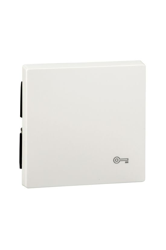 Merten-SM billentyű kulcs-jellel polárfehér fehér kulcs/ajtó-jel IP20 műanyag fényes Schneider - MTN3303-0319