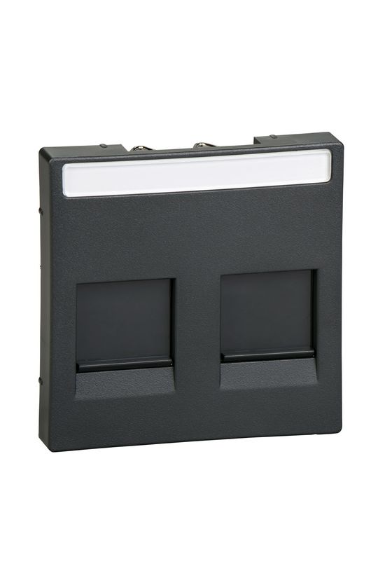 Merten-SM fedlap 2xRJ45 adatcsatlakozóhoz műanyag antracit címketartóval Schneider - MTN4564-0414