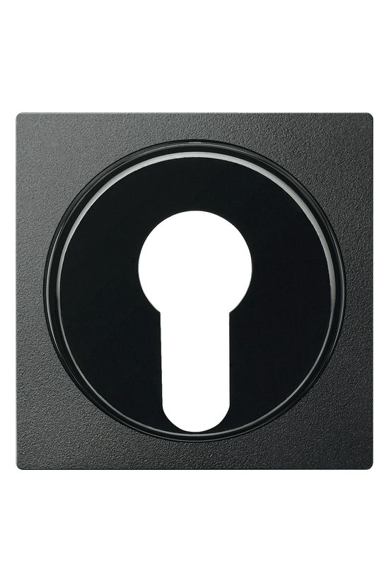 Merten-SM fedlap antracit üres-jel IP20 műanyag matt kapocs Schneider - MTN318114