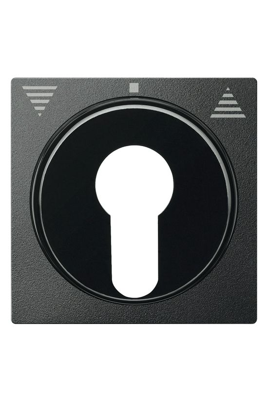 Merten-SM fedlap DIN kulcsos redőny kapcsolóhoz antracit nyíl-jel IP20 műanyag matt Schneider - MTN319314