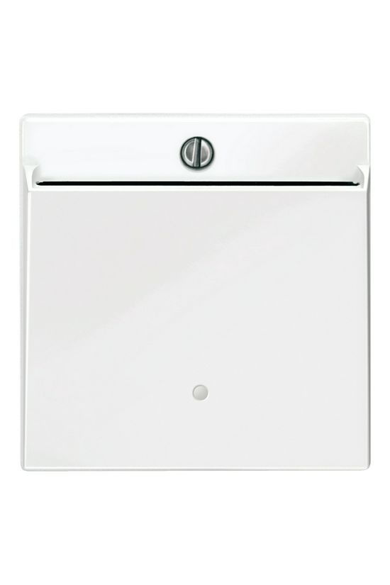 Merten-SM fedlap polárfehér fehér üres-jel IP20 műanyag fényes csavaros Schneider - MTN315619