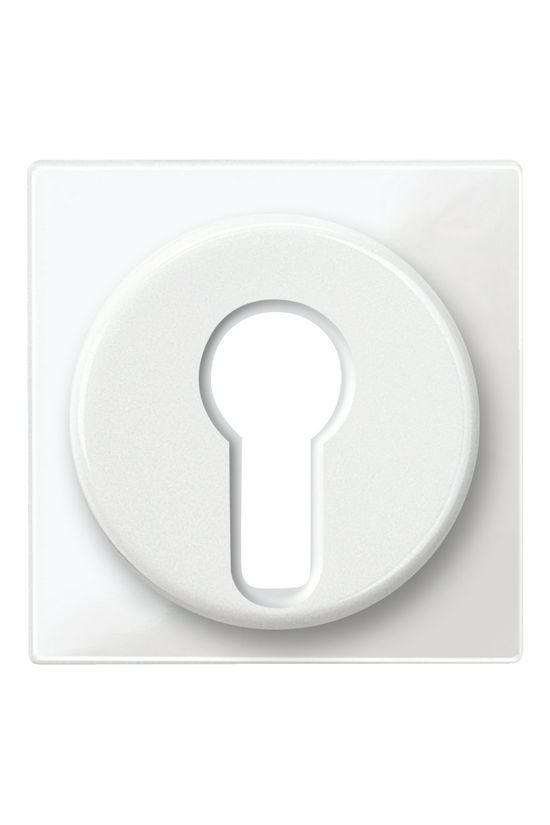 Merten-SM fedlap polárfehér fehér üres-jel IP20 műanyag fényes kapocs Schneider - MTN319519