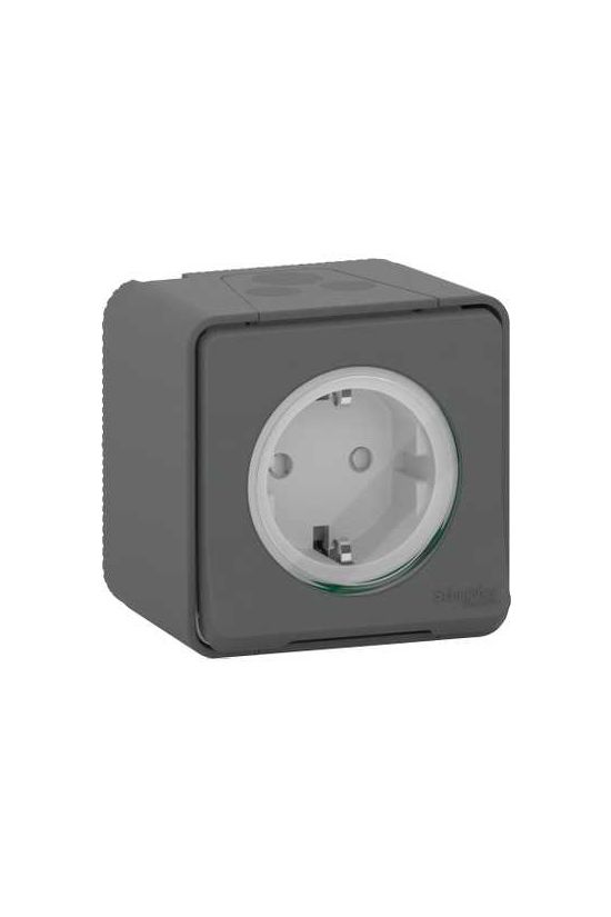 MurevaStyl 162 dugalj csapófedéllel gyerekzárral szürke IP65 falon kívüli rugós Schneider - MUR36034