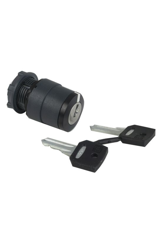 Választókapcsoló fej műanyag d22 Ronis455 kulcsos 2-állású reteszelt kerek Harmony XB5 Schneider - ZB5AG2